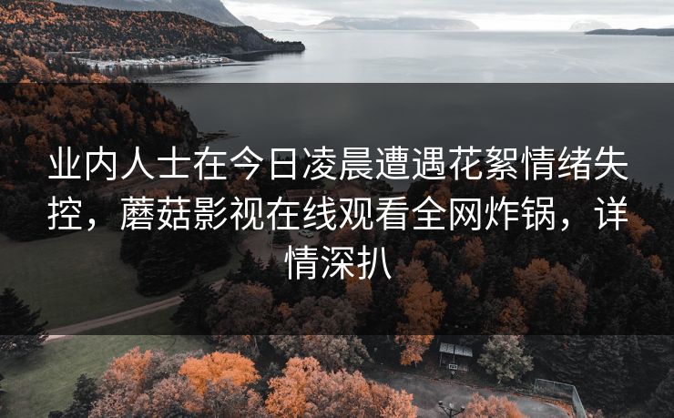 业内人士在今日凌晨遭遇花絮情绪失控，蘑菇影视在线观看全网炸锅，详情深扒